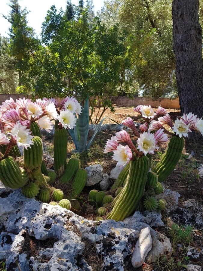 Bed and Breakfast Trulli Di Spinaruta Grottaglie Zewnętrze zdjęcie