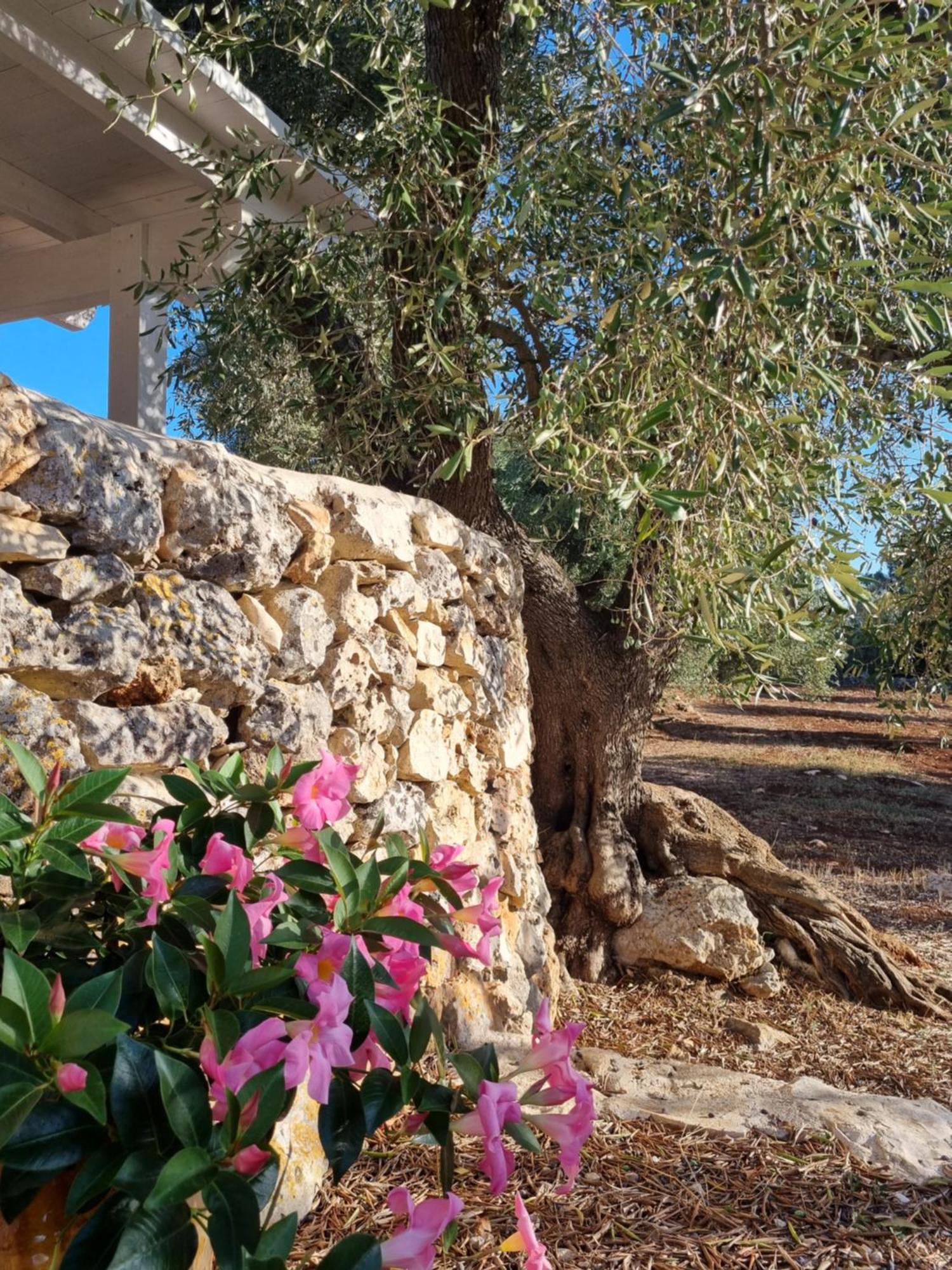 Bed and Breakfast Trulli Di Spinaruta Grottaglie Zewnętrze zdjęcie