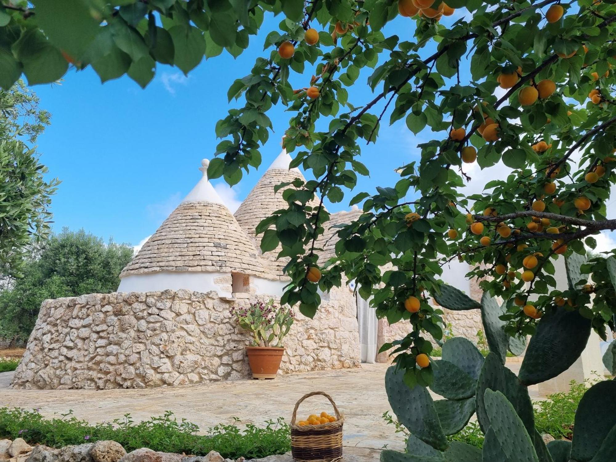 Bed and Breakfast Trulli Di Spinaruta Grottaglie Zewnętrze zdjęcie